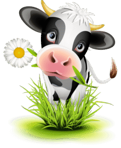 El Blog de Mildred Cuentos Infantiles